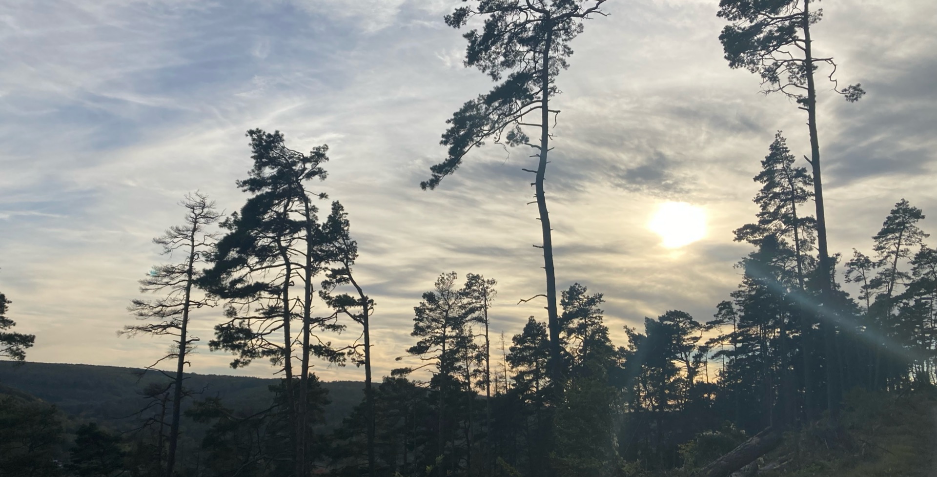 Titelbild Kreative Lösungen