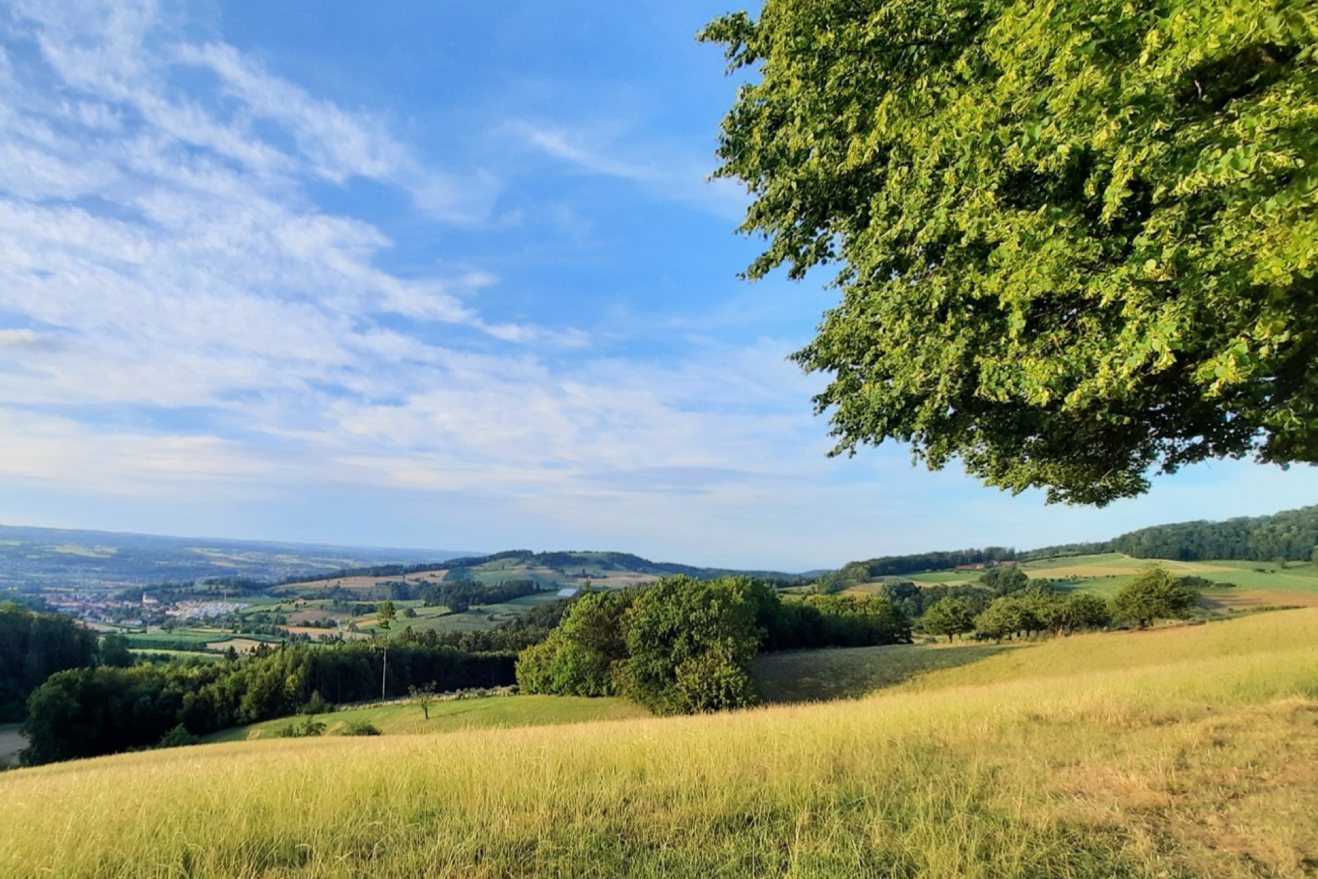 Gesundheit und Soziales